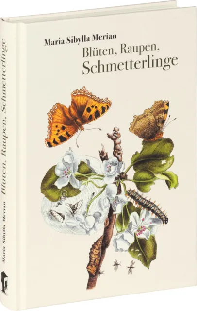 Blüten, Raupen, Schmetterlinge | Maria Sibylla Merian | Buch | 256 S. | Deutsch