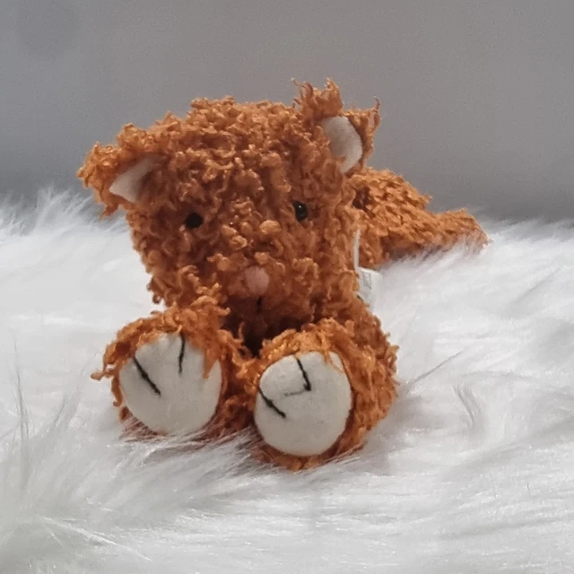 jellycat-ginger-kooky-cat-soft-plush-toy-kitten-kitty-ginger-soft-toy