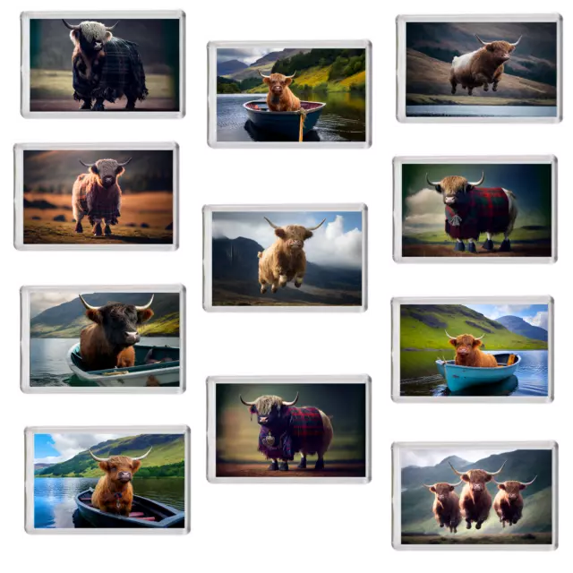 Fridge Magnet Souvenir Scotland Scottish Highlands Cow Highland Coo 80mm x 50mm