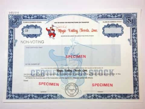 ID. Magic Valley Foods, Inc., 1990s Odd Shrs Specimen Stock Cert., XF SC-USBN