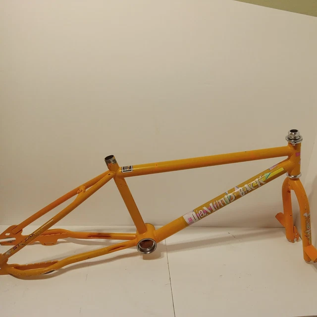 mike dominguez diamondback