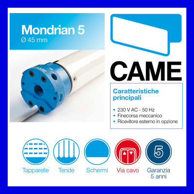 Came MOTORE TENDA DA SOLE TAPPARELLA CAME MONDRIAN M5 50 Nm MANOVRA DI SOCCORSO 