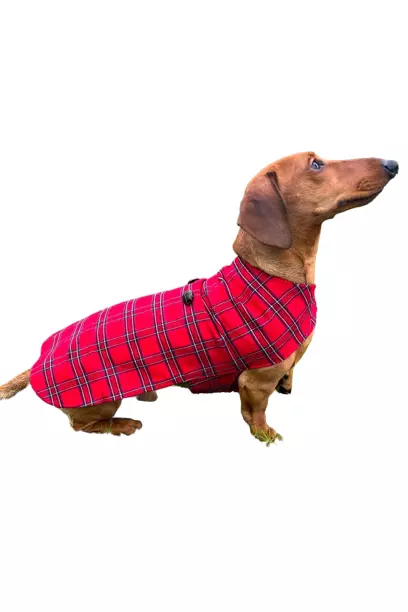 Cane Cappotto Flanella Tartan Rosso Royal Stewart Regolabile Chiusura