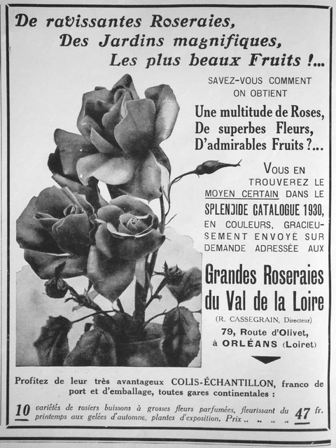 Publicité Grandes Roseraies Du Val De La Loire Jardins Magnifiques Beaux Fruits