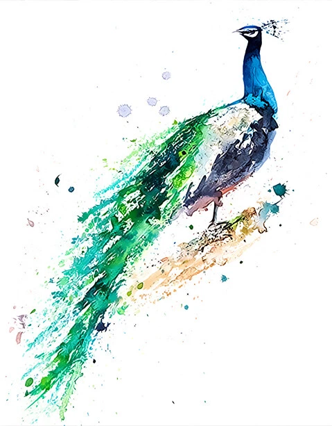 Beautiful Splendid Peacock HP Design Printed Needlepoint Canvas C#101
