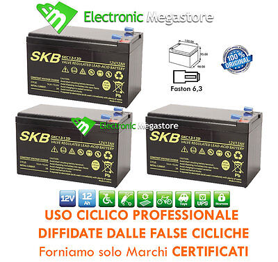 BIC KIT 2 BATTERIE PIOMBO RICARICABILI 12V 12Ah PER BICI ELETTRICA 24V FOTOVOLTAICO 