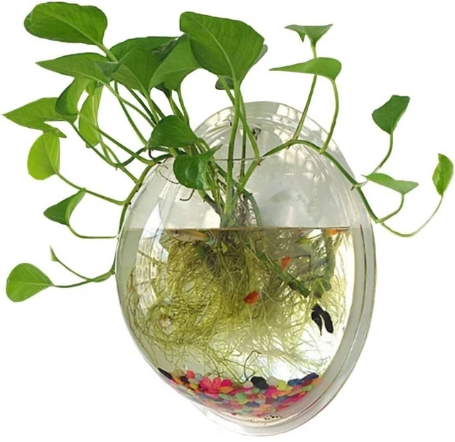 Indoor Hanging Wall Mounted 1 Gallon Fish Tank Bowl Aquarium Wall Decor 3