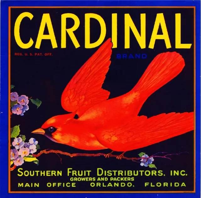 Orlando Florida Cardinal Bird Orange Citrus Fruit Crate Label Vintage Art Print