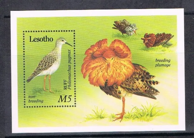 Lesotho Block 66 postfrisch Vögel #JD232
