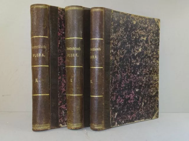 3 Bucheinbände Halbleder Deutschlands Flora - Buchbinder Restauration - 1868