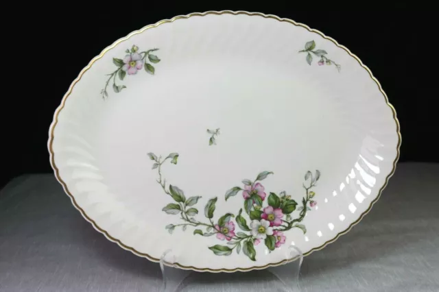 Apple Blossom Syracuse 16 " Oval Serving Platter XL USA Gold Rim Swirl MINTY!