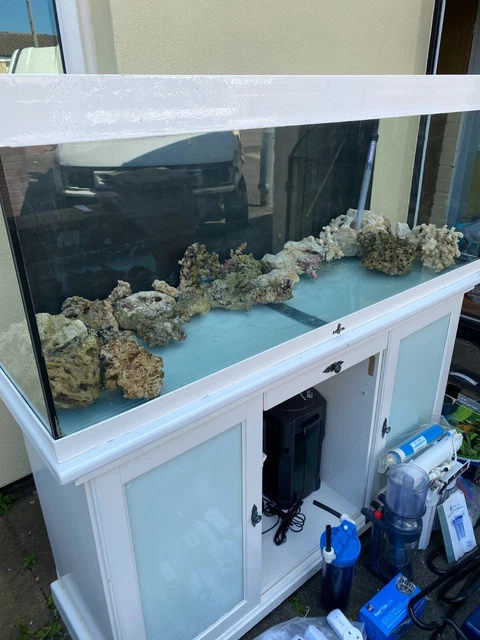 large aquarium fish tank With Stand Full Set-up Please See Pictures And...