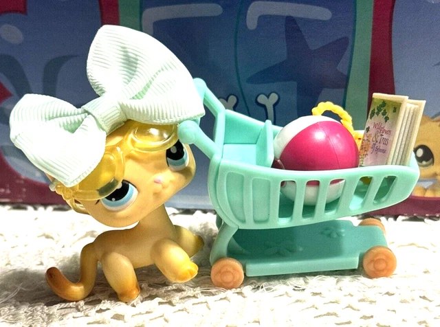 Littlest Pet Shop Lps Authentic Short Hair Ranch Cat #339 & Accessories "Brooke"