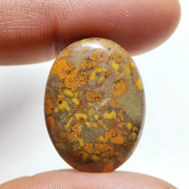 Natural Multi Colour Fruit Jasper Cabochon Designer Gemstone G2712