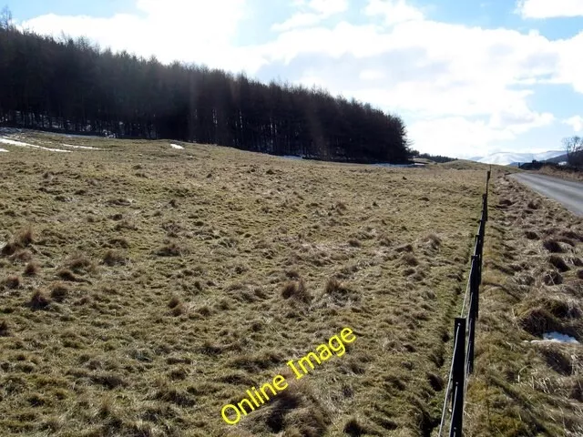 Photo 6x4 Grazing and woodland below Tinnis Castle Drumelzier\/NT1334 Nea c2013