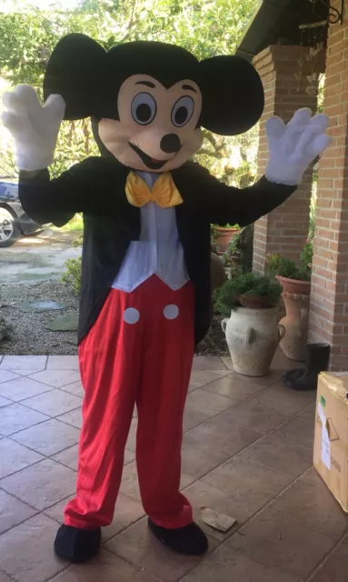 VENDITA/NOLEGGIO MASCOTTE COSTUME Topolino EUR 150,00 - PicClick IT