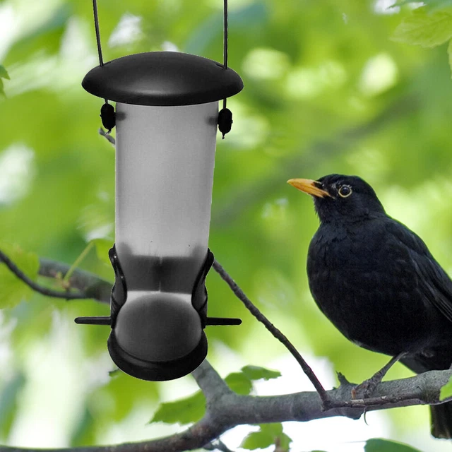 (Couleur Assortie)Mangeoire à Oiseaux Suspendue Avec Boîte Transparente Fond