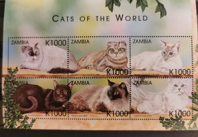 Katzen Sambia 965-970,postfrisch**6