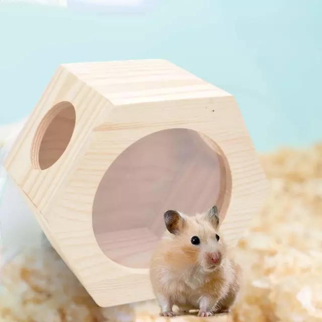 Jouet d'exploration de cabine de maison de Hamster en bois pour les souris