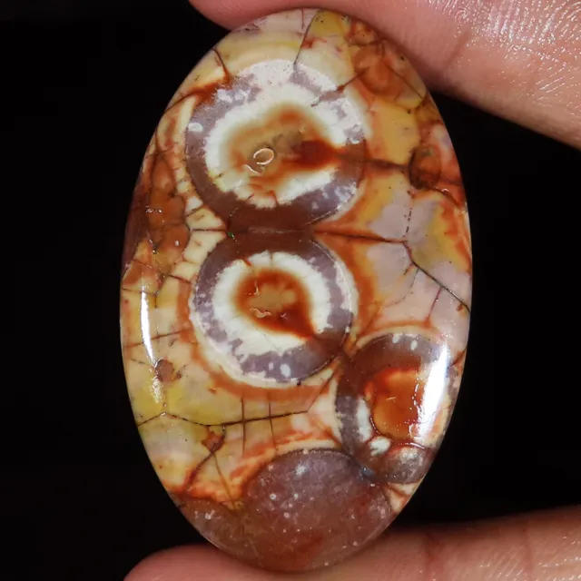 100% Natural Bird Eye Jasper 66.05 Cts Oval Cabochon 30x47x5 mm Gemstones P33