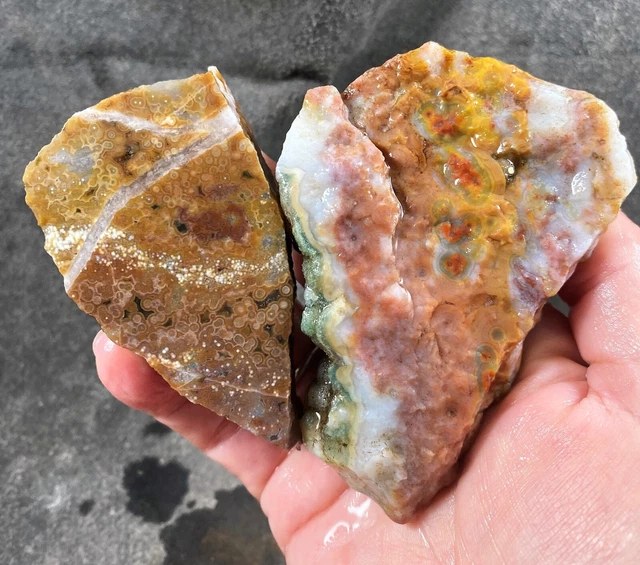Ocean Jasper Rough (2 pieces) - Madagascar!