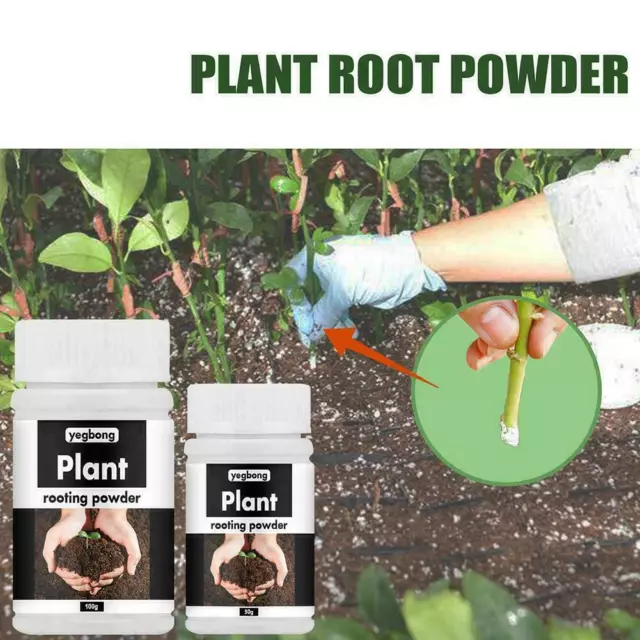 50g/100g Growth Rooting Powder Fast Plant Rapid Rooting Agent