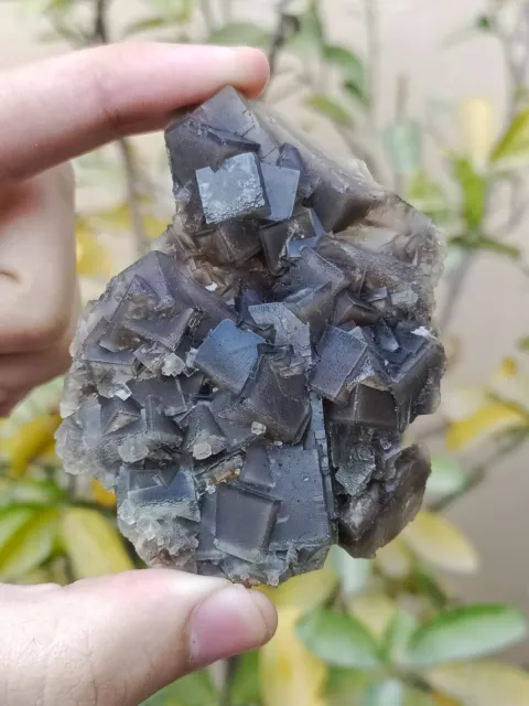 93g Natural Gemstone Cubic Grey Fluorite Crystal Cluster With Calcite Specimen