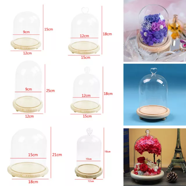 Small Medium Large Glass Dome Display Bell Jar Cloche Wooden Base Xmas DIY Decor