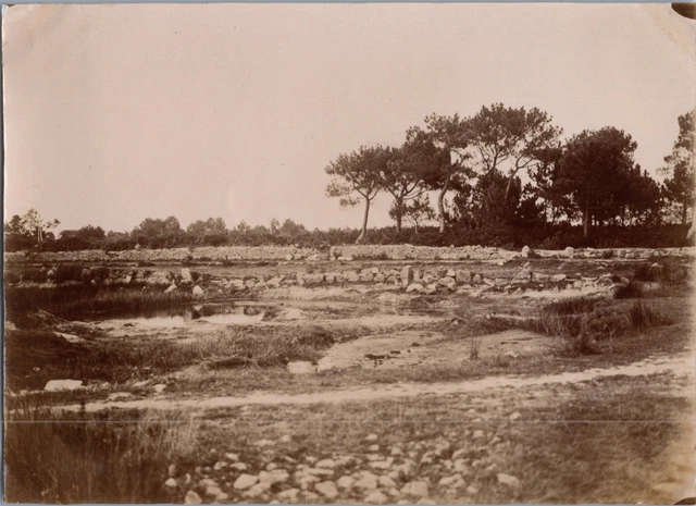 France, Carnac, campagne de Carnac  Vintage albumen print Tirage albuminé  8
