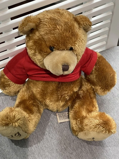 KEEL Toys teddy bear brown with  HUG ME dressed