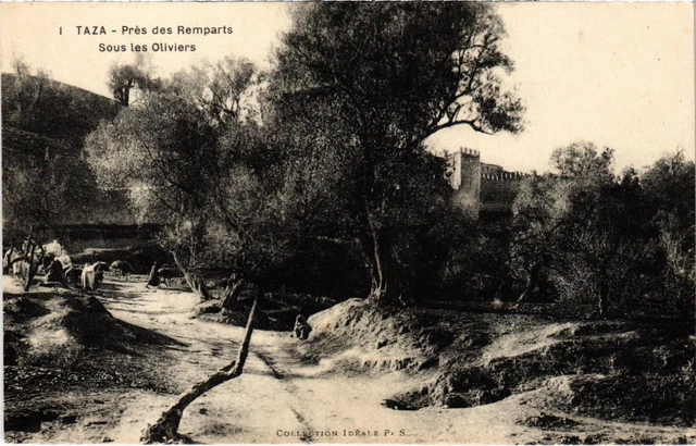 CPA AK MAROC TAZA - Pres des Remparts - Sous les Oliviers (92565)
