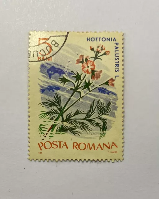 Rare - Romania Postal Stamp Hottonia Palustris L. 5 Bani Posta Romana Used.