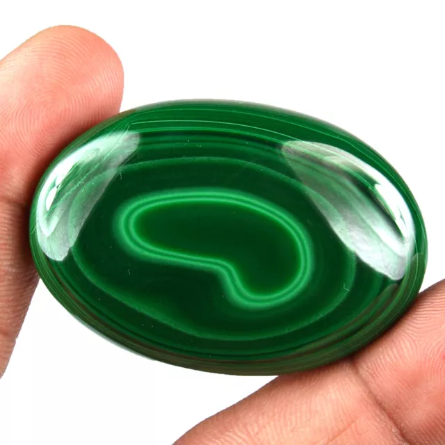 Haut Qualité 186 CT Naturel Vert Malachite 49 MM Ovale Cabochon Desseré Gemme