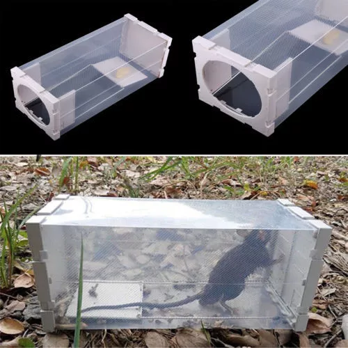 Professional Rodent Box Trap Station - Rat Mice Mouse - No Poison Bait Inc.