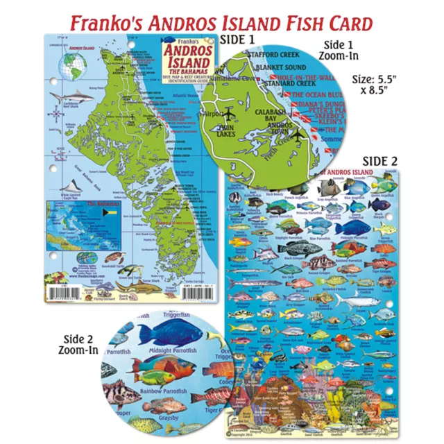Franko Maps Andros Island Bahamas Dive Creature Guide 5.5 X 8.5 Inch