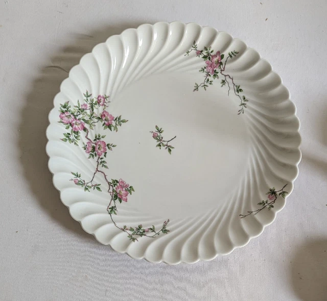 GRAND PLAT ROND Porcelaine Haviland Limoges Modèle Églantine Tbe EUR 20