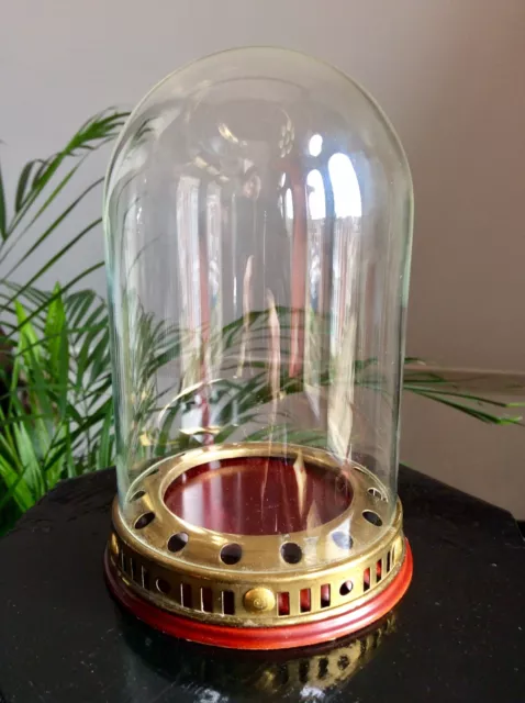 Vintage Glass Cloche Bell Dome,Brass & Wood Base,Antiques Curios Feature Display