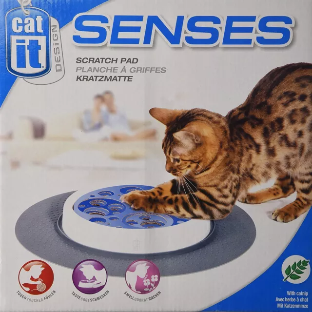 Scratch pad Cat It Senses