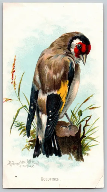 "Goldfinch" Metropolitan Life New York Victorian Trade Card