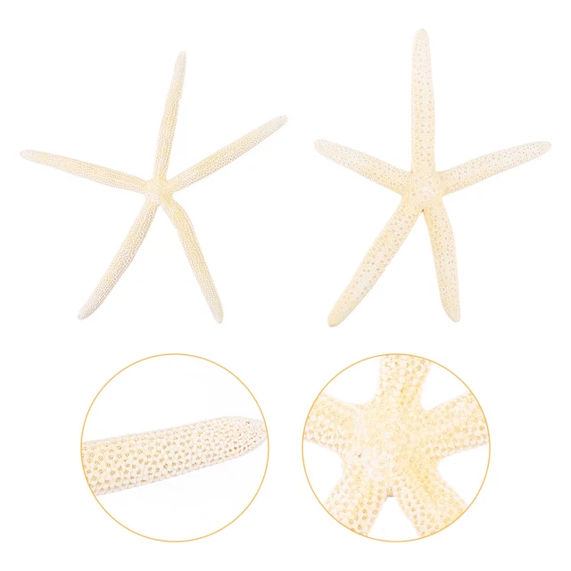 2 pcs étoiles naturelles stars créatifs ornements de mariage -métiers pour