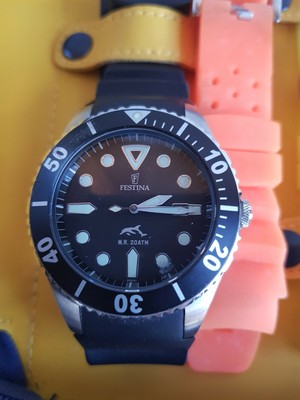 vacheron corne de vache
