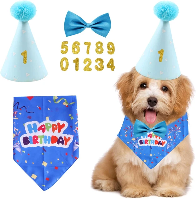 Kit Decorazioni Compleanno Cane - Bandana, Cappello, Palloncini E Striscione Rosa Per Feste - Foto 10