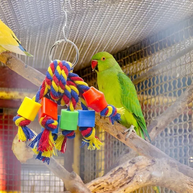 aus Holz Papagei Spielzeug Vogel bedarf Haustier produkte Vogel kauen Spielzeug