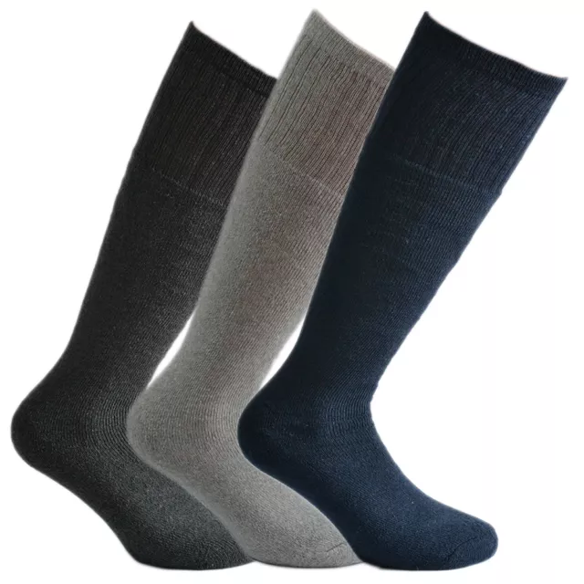 6 paia di calze Fontana in cotone spugna prodotte in Italia mod. sport lungo