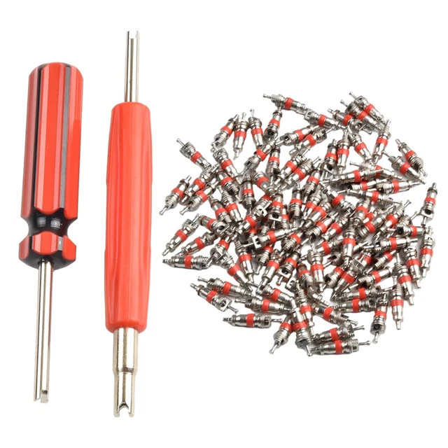 100 PCS Tyre Valve Core Insert Tire  Car Bike Motorcycle Quad Truck With Tools
