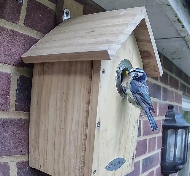 BIRD NEST BOX with Solar powered 2K WiFi Camera. Watch on Phone, Tablet ...