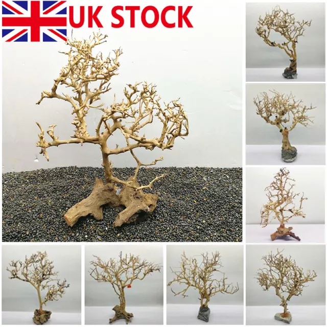 Natural Driftwood Tree Aquarium Fish Tank Ornaments Landscaping Bonsai Decor UK