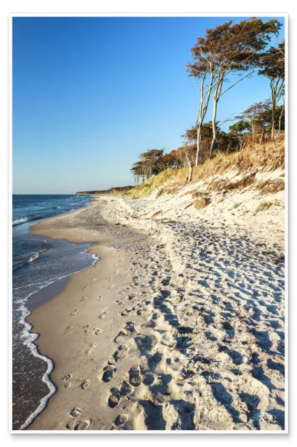 Poster Ostseestrand auf dem Darß - Sascha Kilmer