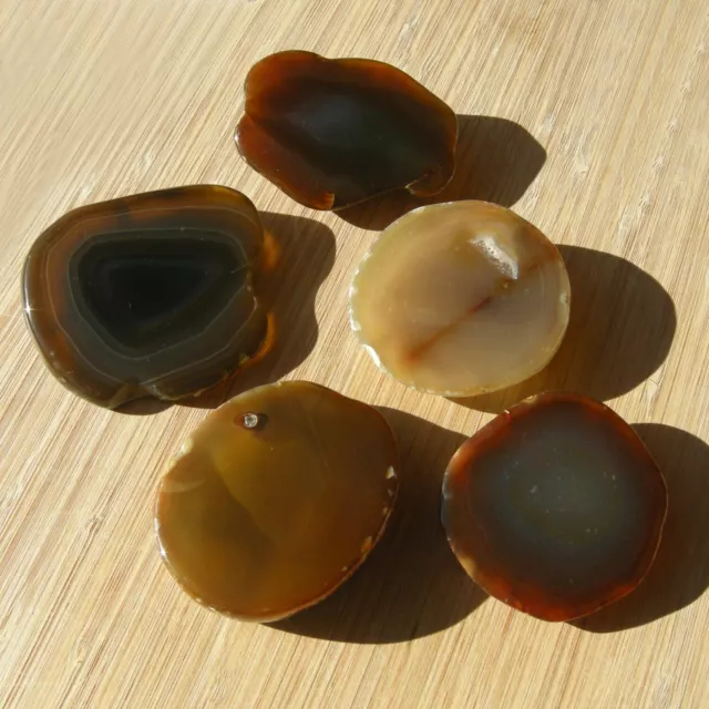 5 Agate Crystal Geode Slices Polished Banded Brown Display Stones 1lb 7oz Lot