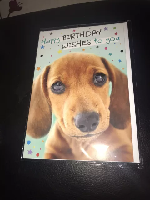 Dachshund Birthday Card Daxy Sausage Dog BIRTHDAY CARD